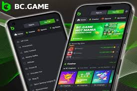 Unveiling the Thrill of BC.Game Crypto Casino